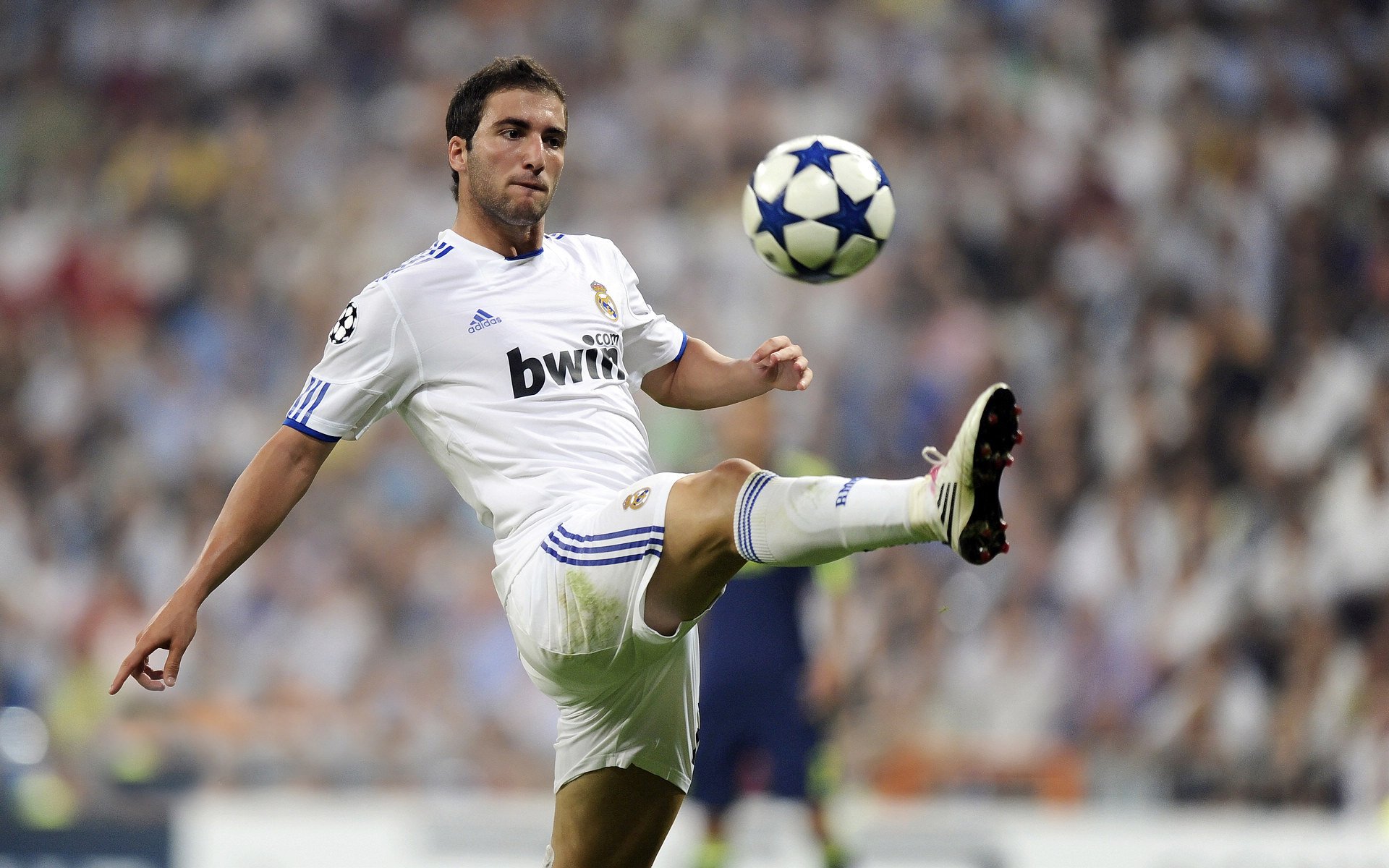 “球场趣味：明星场外趣事和奇闻趣事”